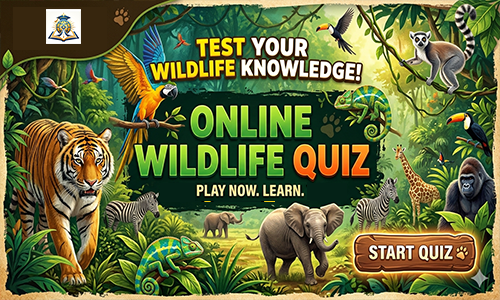 Wildlife Quiz